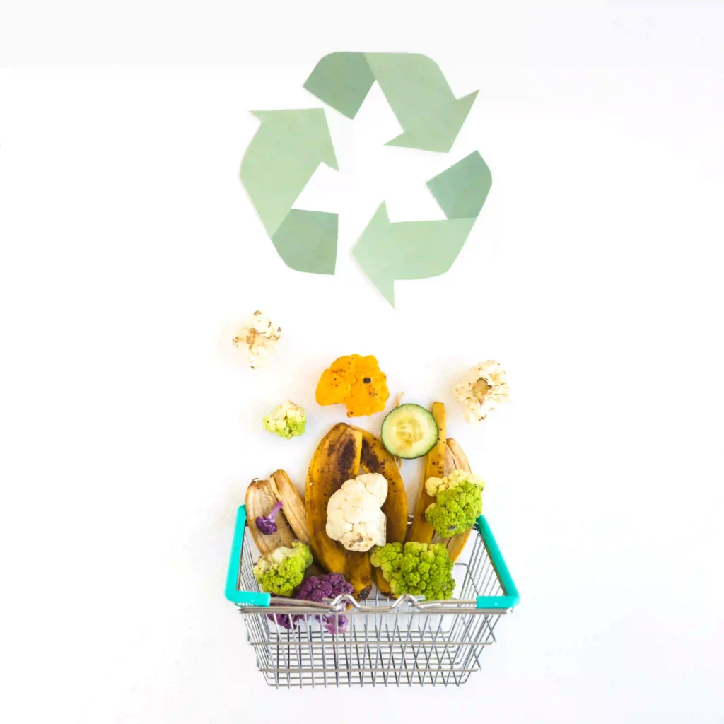 Sustentabilidade e Direito do Consumidor: Conheça Seus Direitos em Produtos ‘Verdes’ e Ecológicos